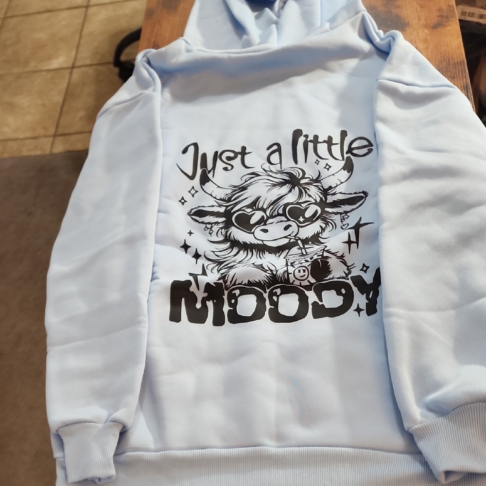 FIRM PRICE Never Worn Never Used Light Blue 'Just a Little Moody' Hoodie